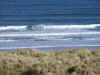 beach.JPG (441659 bytes)