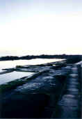 cellardyke pool 1