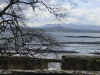 forth.jpeg (78205 bytes)