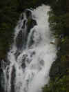 waterfall glen elg 2.JPG (450505 bytes)
